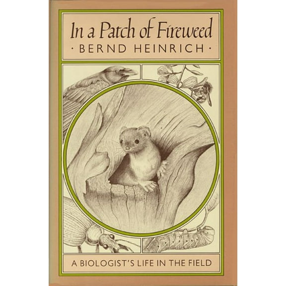 Biologist's Life in the Field: In a Patch of Fireweed: A Biologist's Life in the Field (Paperback)