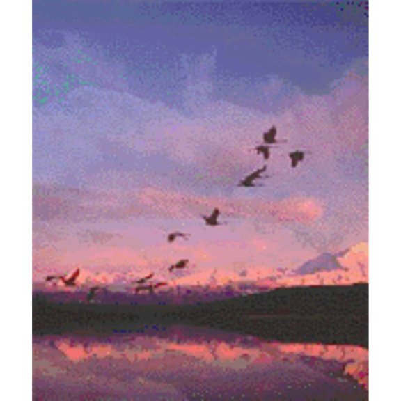 Pre-Owned Biology: Concepts and Applications, Paper Version (with CD-ROM and Infotrac) (Paperback) 0534563252 9780534563257