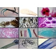 thumbnail image 1 of Biology Microscope Slide Set – 23 Slides, 1 of 7