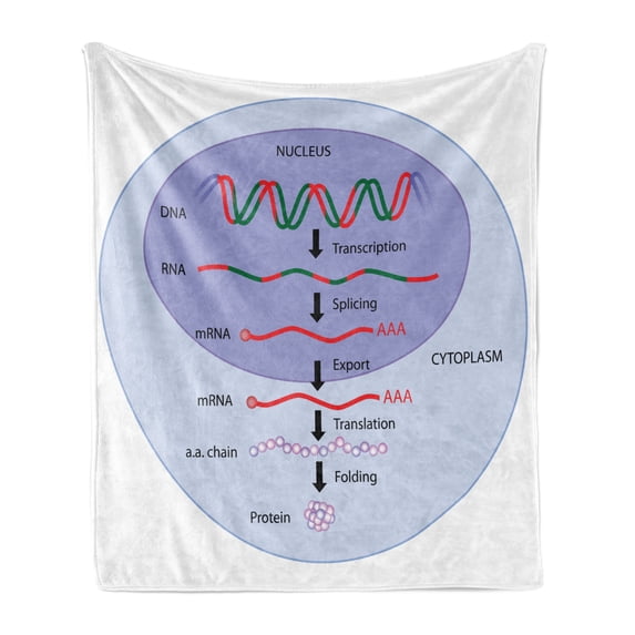 Biology Soft Flannel Fleece Throw Blanket, Molecular Gene Translation Stem Cell Themed Educational Chart, Cozy Plush for Indoor and Outdoor Use, 50" x 60", Pale Ceil Blue Ceil Blue, by Ambesonne