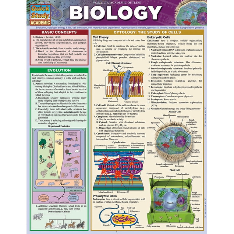 Biology : a QuickStudy Laminated Reference Guide (Other) - Walmart.com