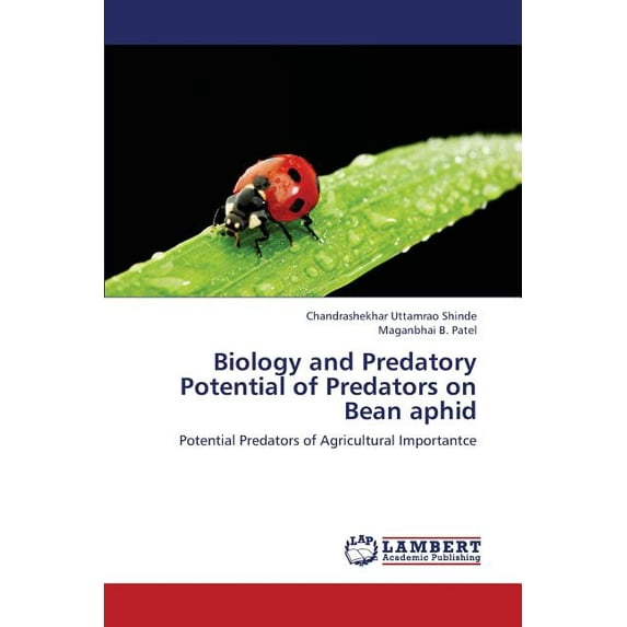 Biology and Predatory Potential of Predators on Bean Aphid (Paperback)