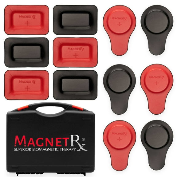 Biomagnetic Therapy Magnet Kit  Ferrite  Leather (12 Mixed Units)