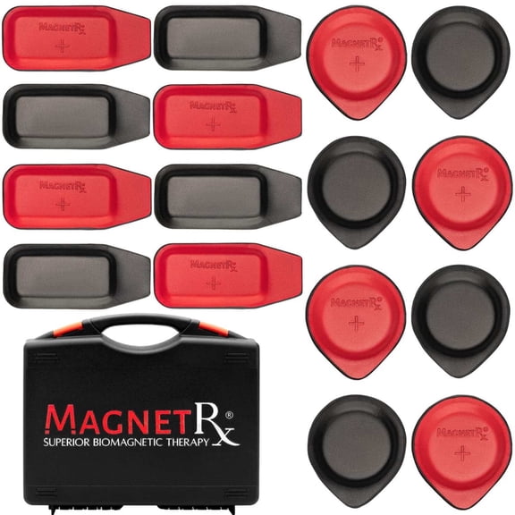 Biomagnetic Therapy Magnet Kit — Ferrite Leather (16 Small Mixed Units)