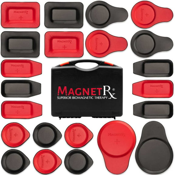 Biomagnetic Therapy Magnet Kit  Ferrite  Leather (22 Mixed Units)