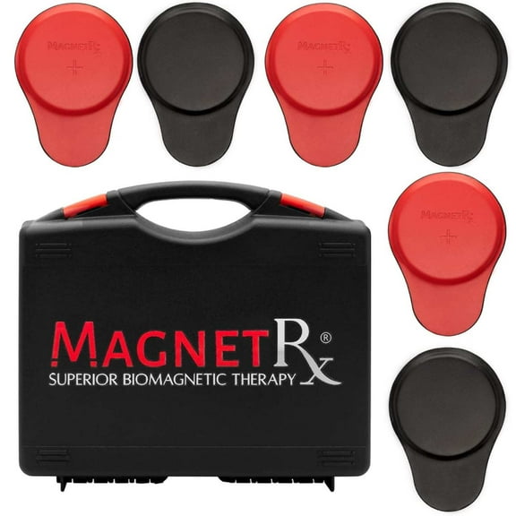 Biomagnetic Therapy Magnet Kit  Ferrite  Leather (6 Large Magnets)