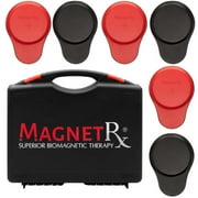 Biomagnetic Therapy Magnet Kit   Ferrite Leather 6 Large Magnets