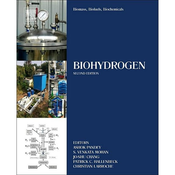 Biomass, Biofuels, Biochemicals Biomass, Biofuels, Biochemicals: Biohydrogen, (Paperback)