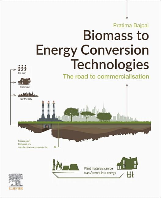 Biomass to Energy Conversion Technologies: The Road to ...
