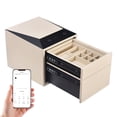 Biometric Safe for Jewelry & Pistols - Home Digital Safe with ...