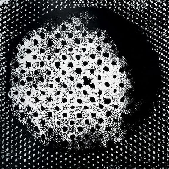 Biosphere - Patashnik - Electronica - Vinyl