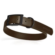 W 1" XL 22 to 25 inches Biothane Waterproof Collar