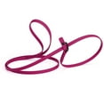 thumbnail image 1 of Biothane Waterproof Slip Lead, 1 of 33