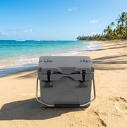 Biotree Hard Cooler 16 Quart Insulated Portable Ice Chest with 24-Can Capacity and 2 Cup Holders for Camping and Fishing, Gray