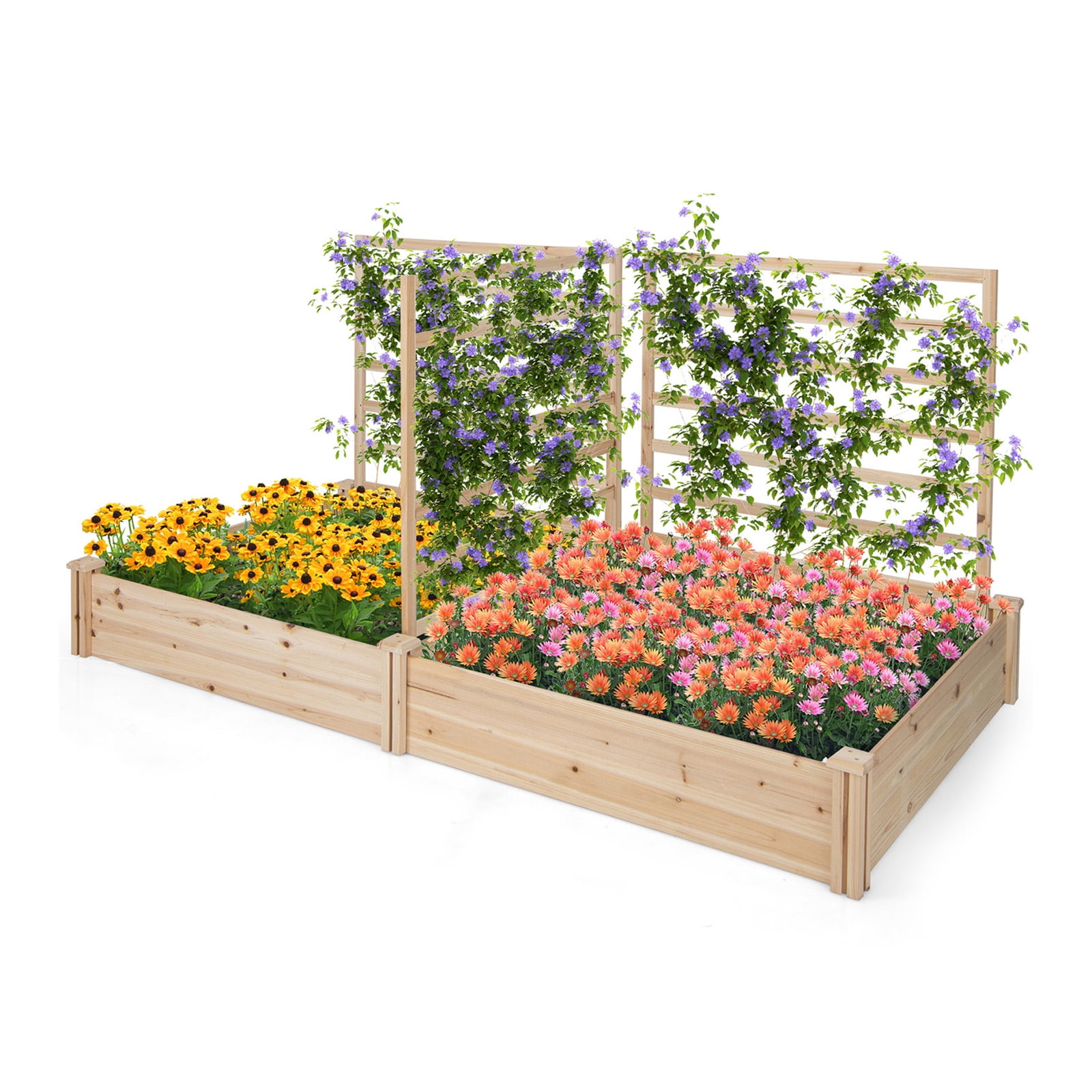 Biotree Raised Garden Bed with 2 Planter Boxes and 3 Trellis-Natural Outdoor Vegetables Herbs Flowers