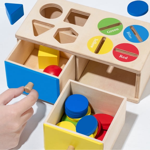 Biottro Montessori Wooden Shape Sorting Toys Sensory Matching Color Sorting for Toddlers Preschool Fine Motor Skills 1 Pack