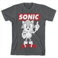 thumbnail image 1 of Bioworld Sonic Classic Art on Charcoal Tee-M, 1 of 4