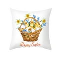 thumbnail image 1 of Biplut Easter Pillowcase Exquisite Pattern Washable Non-Fading Wear Resistant Lint Free Soft Cartoon Printing Rabbit Egg Pillowcase Decoration Home Supplies (Type D), 1 of 13