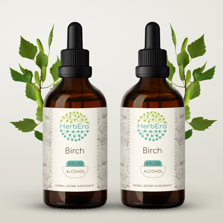 HerbEra Birch Tincture, Herbal Dietary Supplement for Detoxification Support, Birch (Betula pendula) Dried Leaf Extract, Alcohol Tincture, Drops 2x4 oz
