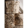 thumbnail image 1 of Birch Bark Planter W/ Plastic Liner 7X6 7in. Wide & 6in. Tall, 1 of 3