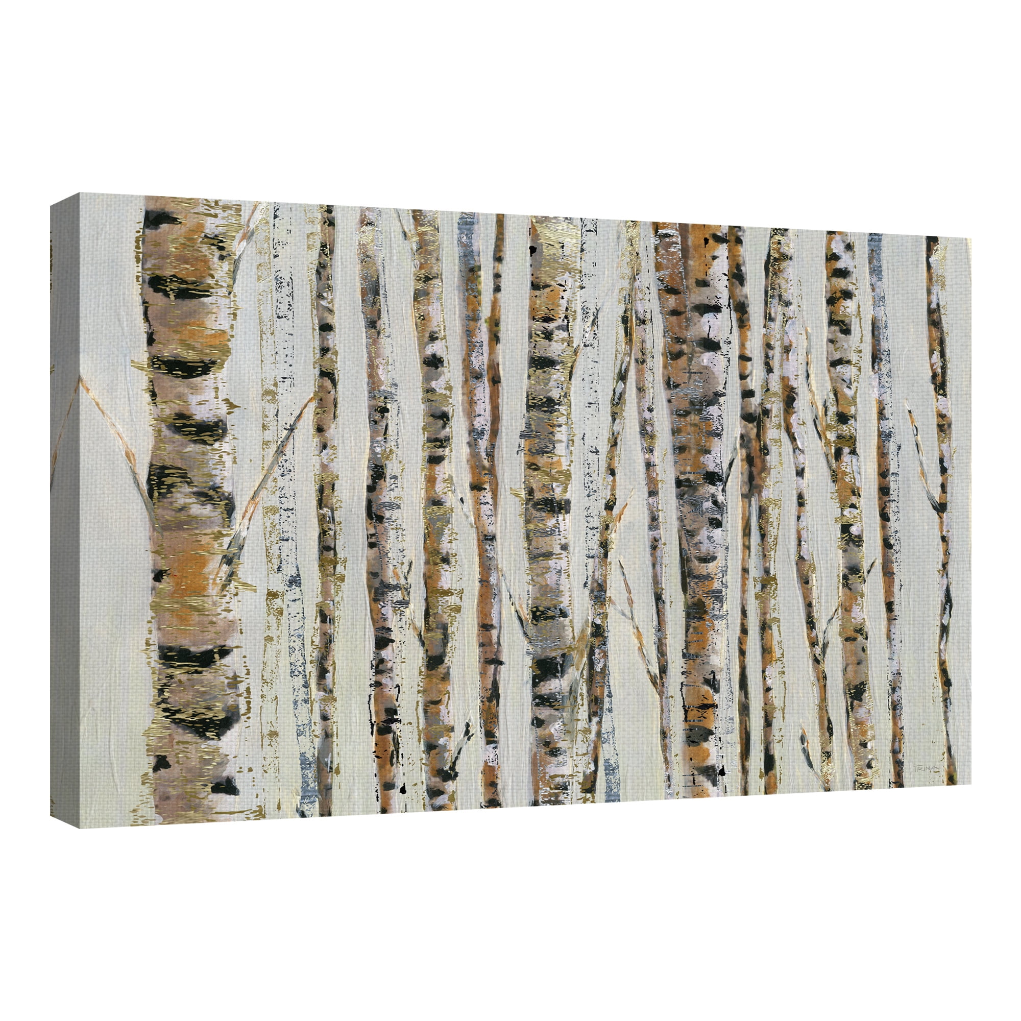Birch Bling by Katrina Craven Wrapped Canvas Painting Art Print