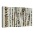 thumbnail image 1 of Birch Bling by Katrina Craven Wrapped Canvas Painting Art Print, 1 of 4