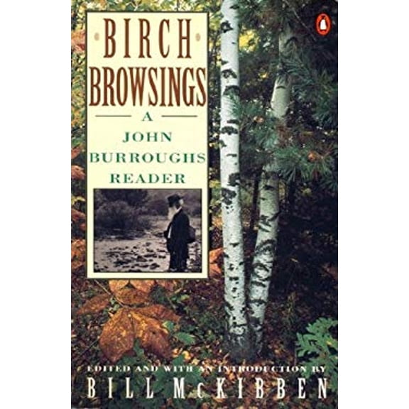 Pre-Owned Birch Browsings: A John Burroughs Reader (Nature Library, Penguin) (Paperback) 0140170162 9780140170160
