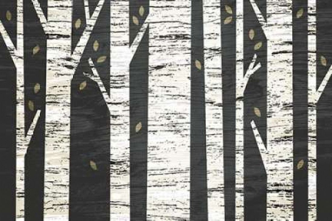 Birch Forest Canvas Art - Michael Mullan (12 x 18)