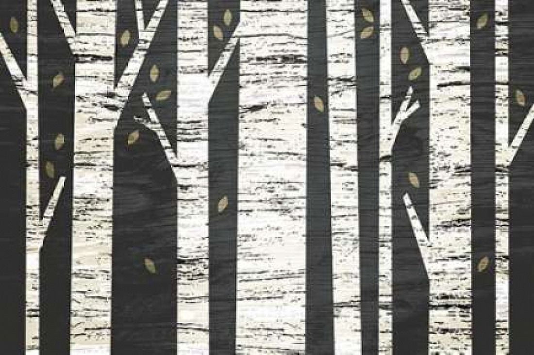 Birch Forest Canvas Art - Michael Mullan (24 x 36)