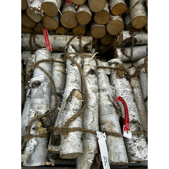 Birch Logs, Bundle Bundle