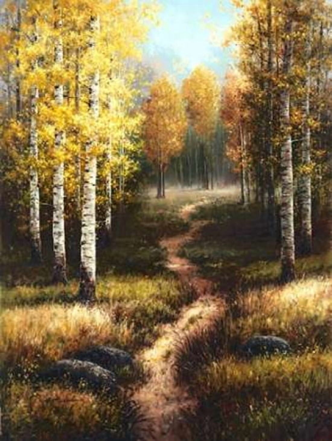 Birch Path Canvas Art - Arcobaleno (18 x 24)