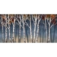 thumbnail image 1 of Birch Shadows Poster Print by Conrad Knutsen (20 x 10), 1 of 1