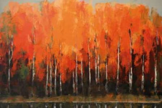 Birch Shoreline Canvas Art - Peter Colbert (12 x 18)