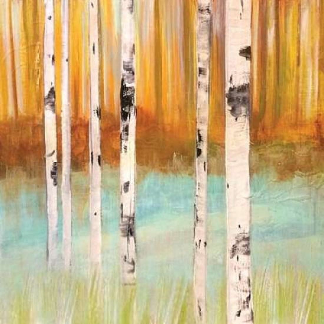 Birch Spring Canvas Art - Susan Jill (24 x 24) - Walmart.com