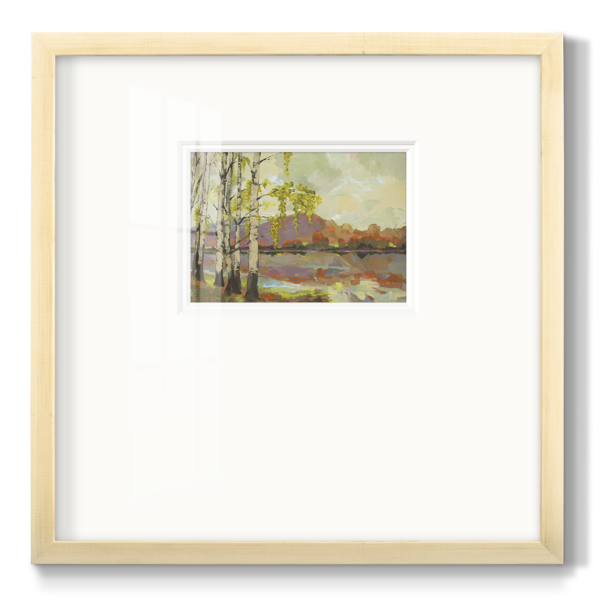 Birch Stand-Premium Framed Print