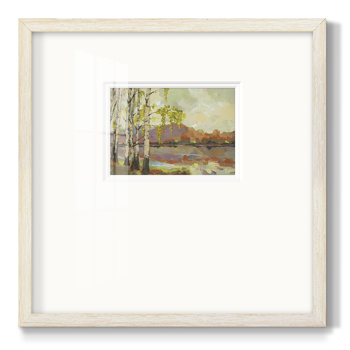 Birch StandPremium Framed Print