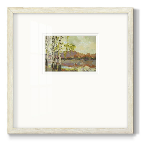 Birch StandPremium Framed Print