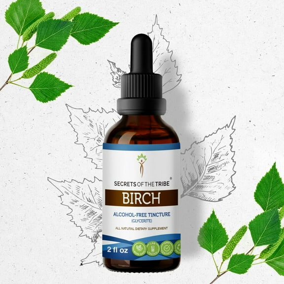 Secrets Of The Tribe Birch Tincture Dietary Supplement, Natural Herbal Extract for Detox Support, Birch (Betula pendula) Dried Leaf, Alcohol-Free Extract, Drops 2 oz