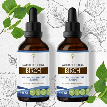 Birch Tincture Alcohol-FREE Extract, Birch (Betula Pendula) Dried Leaf 2x4 oz