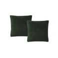 thumbnail image 1 of Birch Trails Solid Sherpa Set of 2 Decorative Pillows, 18″ X 18″, Green, 18" x 18", 1 of 1