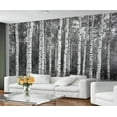 thumbnail image 1 of Birch Tree Wall Murals For Bedroom - Forest Murals, Black White Plant Wall Mural For TV Background, Birch Tree Large Mural 98.4"W x 68.9"H (Not Peel and Stick), 1 of 6