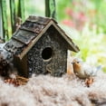 thumbnail image 1 of Birch Wood Decorative Bird House, 1 of 9