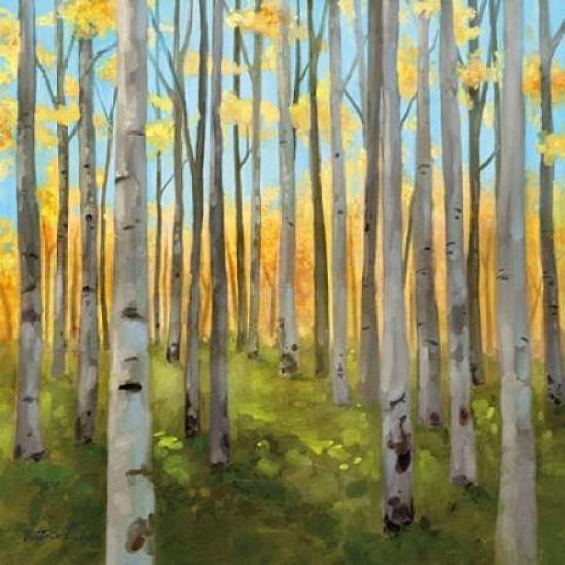 Birch Woods I Canvas Art - Vittorio Milan (24 x 24)