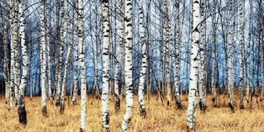 Birch grove in autumn Canvas Art - Oleg Znamenskiy (10 x 20)