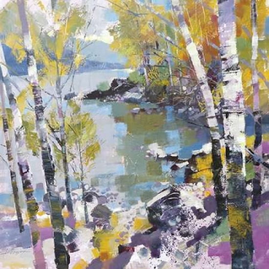Birch in Spring Canvas Art - Chris Forsey (24 x 24)