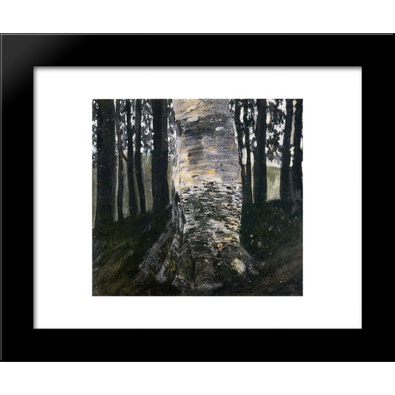 Birch in a Forest 20x24 Framed Art Print by Gustav Klimt