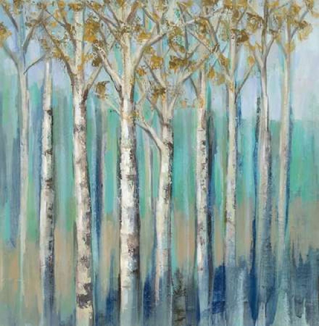 Birches at Dawn Canvas Art - Silvia Vassileva (24 x 24)