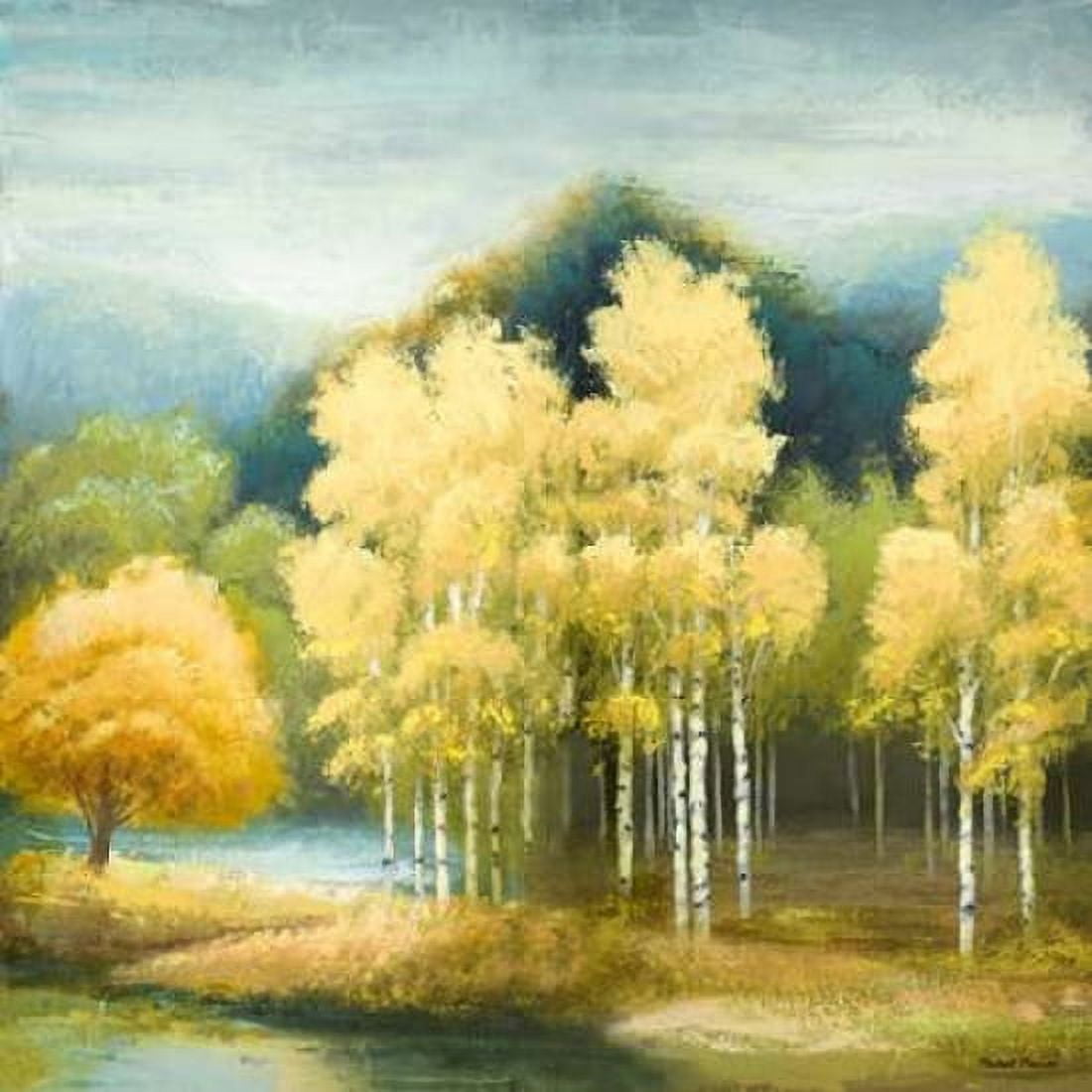 Birchwood Canvas Art - Michael Marcon (24 x 24)