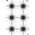thumbnail image 1 of BIRCHWOOD CASEY 23" x 35" Eze-Scorer Multiple Bull's-Eye Shoot-Up Brilliant White Paper Targets for Indoor and Outdoor Use, 5 Targets, 1 of 2