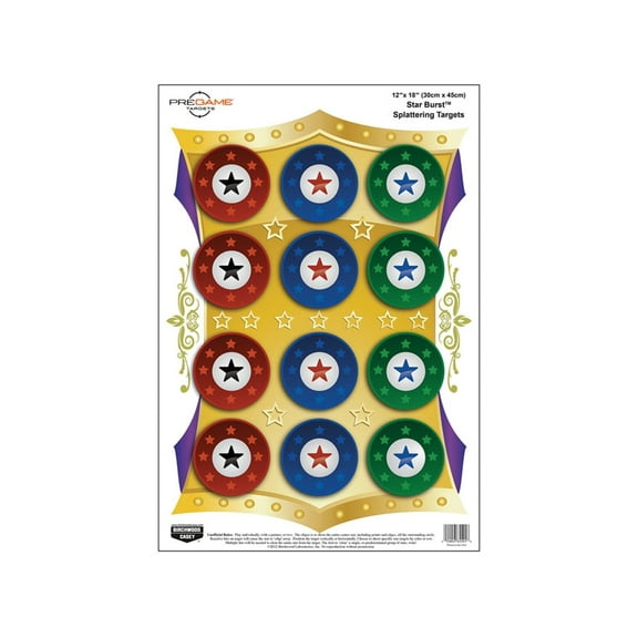 BIRCHWOOD CASEY Pregame 12" x 18" Game Targets - Highly Visible Instant Splattering Shooting Targets - Star Burst - 8 Pack